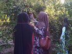 agrowisata-petik-jeruk-desa-samiran.jpg