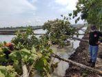 angin-puting-beliun-terjang-lamongan.jpg