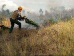 Kebakaran dan Angin Kencang Dominasi Kejadian Bencana Alam di Kota Batu pada September 2020