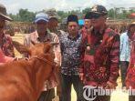 bupati-sampang-jonathan-judianto-sidak-ke-pasar-hewan-baru-sampang-di-desa-aeng-sareh.jpg