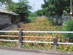 ecenggondok-memenuhisungai-cantel.jpg