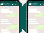 ilustrasi-whatsapp-berikut-ini-aplikasi-sadap-whatsapp.jpg