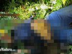 jasad-perempuan-muda-ditemukan-warga-di-area-tikungan-gajah-mungkur-pacet-mojokerto.jpg