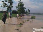 kondisi-banjir-yang-melanda-persawahan.jpg