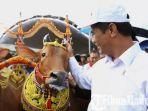 menteri-pertanian-andi-amran-sulaiman-saat-memegang-kepala-sapi-sono.jpg