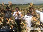 menteri-pertanian-saat-berada-di-panen-raya-jagung-di-lamongan.jpg