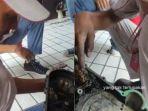 montir-kaget-saat-bongkar-motor-matic-seorang-wanita-lama-tak-diservis-jadi-sarang-tawon.jpg
