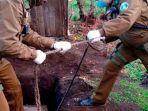 perkosa-ibunya-yang-berusia-80-tahun-pria-ini-sembunyi-di-septic-tank.jpg
