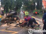 petugas-dlhkp-kota-kediri-potong-pohon-tumbang-di-depan-kantor-bank-btn-jl-diponegoro.jpg