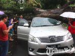 pohon-tumbang-di-kota-malang-timpa-mobil.jpg