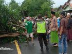 suasana-di-lokasi-pohon-tumbang-di-jalan-raya-torjun-kecamatan-torjun-kabupaten-sampang.jpg