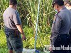 tiga-warga-tewas-di-desa-kambingan-kecamatan-pagu-kabupaten-kediri-yang-tersengat-listrik.jpg