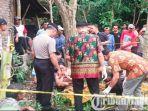tukang-potong-kayu-tewas-usai-jatuh-dari-pohon-di-tulungagung.jpg