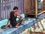 ular-piton-sanca-kembang-ditangkap-warga-di-kolam-budidaya-ikan-di-mojokerto.jpg