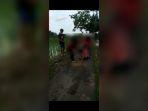 video-abg-dibully-di-kuburan-perkara-rebutan-cowok-yang-viral-di-media-sosial2.jpg