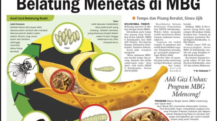 HL TRIBUN TIMUR - Edisi cetak Rabu (1/10/2025) menampilkan laporan utama soal temuan belatung dalam makanan program Makan Bergizi Gratis (MBG) di Bulukumba. Tempe dan pisang berulat membuat siswa jijik, orang tua mengeluh, dan pemerintah diminta memperketat pengawasan dapur sekolah.