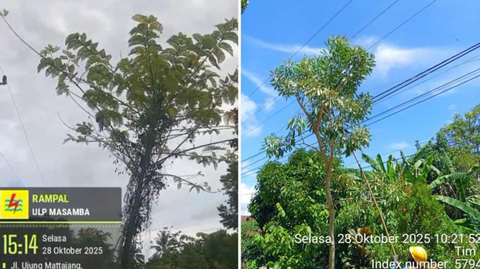 Cuaca Buruk Landa Luwu Raya, BPBD dan PLN Siaga