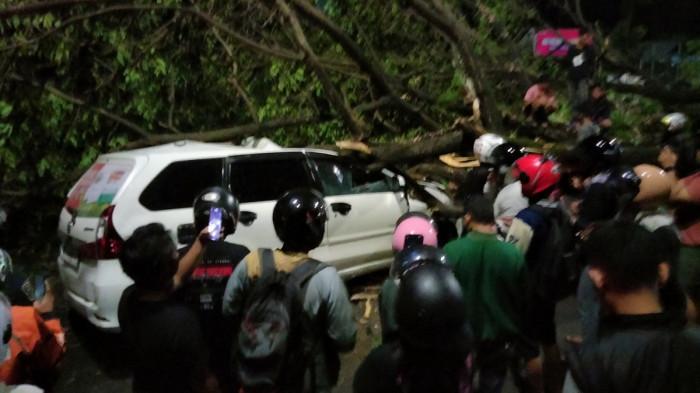 BREAKING NEWS: Pohon Tumbang, Jalan Urip Sumoharjo Terblokir