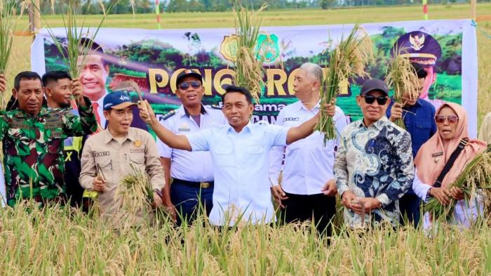 Syaharuddin Alrif Bawa Sidrap Tembus Rekor Produksi Padi Tertinggi Sejak 2018