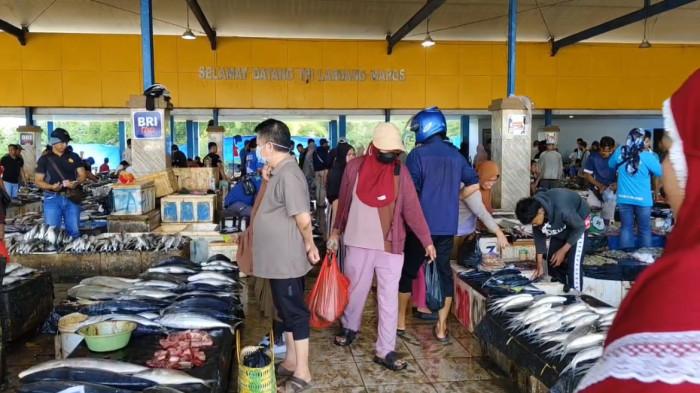 Harga Ikan Laut di TPI Labuang Tembus Rp2 Juta per Boks