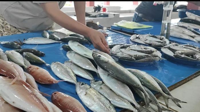 HARGA IKAN - Pedagang ikan di Pasar Sentral Bulukumba, Jumat (16/1/2026). Harga ikan di Bulukumba terus naik seiring cuaca buruk melanda perairan Bulukumba