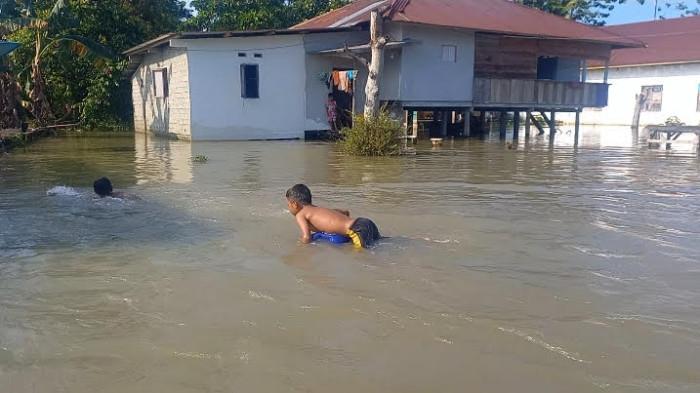 BANJIR LUTRA - Seorang anak di Desa Malangke, Kecamatan Malangke, Kabupaten Luwu Utara, Sulawesi Selatan, sedang bermain menggunakan jerigen berwarna biru di depan rumahnya, Sabtu (6/6/2026). Sudah hampir dua bulan lebih, banjir belum juga surut di desa tersebut. 