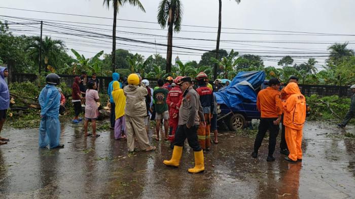 ANGIN KENCANG - Proses penanganan pohon runhanh di Jl Ir Sutami, Kecamatan Tamalanrea Makassar , Minggu (1/2/2026). Pohon tumbang tersebut menimpa warga yang berjalan rambutan di Jl Ir Sutami, dekat dari SMA 6 Makassar.