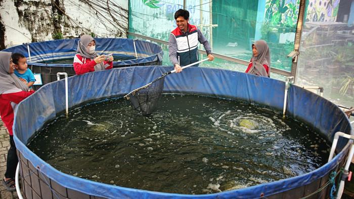 Transformasi Hijau Tamalabba, Ketika Sampah dan Surya Menjadi Solusi - Daur-Hidup-yang-Menyatu.jpg