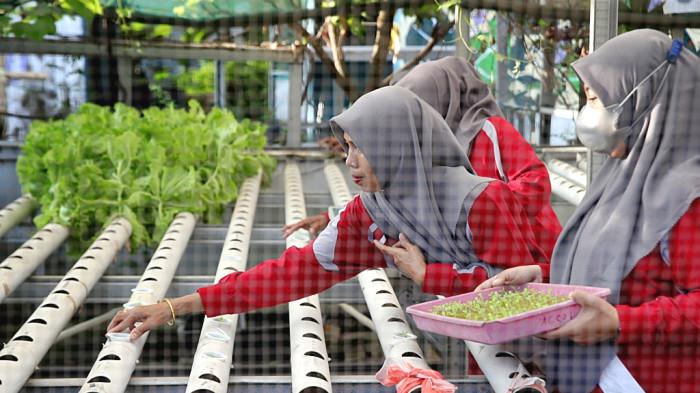 Transformasi Hijau Tamalabba, Ketika Sampah dan Surya Menjadi Solusi - Hijau-dari-Tangan-Ibu-Ibu-Bahari-Sigalu.jpg