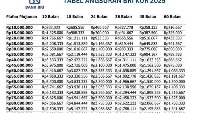 Tabel Angsuran KUR BRI Rp10 Juta-Rp100 Juta, Syarat Lebih Mudah, Tanpa NPWP