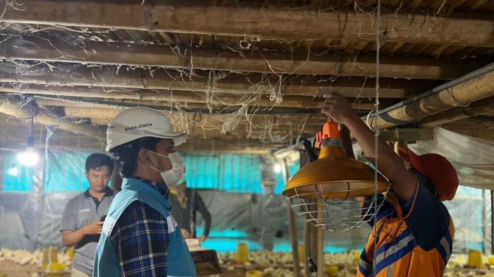 Pertanian Modern Berbasis Listrik Semakin Maju Berkat Program Electrifying Agriculture PLN - Manager-PLN-ULP-Sumberpucung.jpg