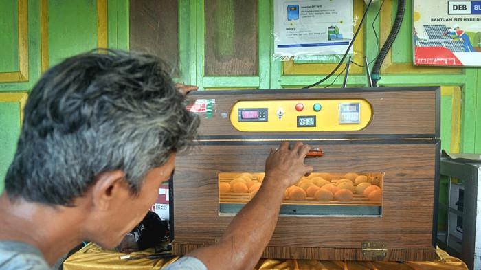 Pertamina dan Warga Ubah Limbah MBG Jadi Pakan Ternak Berkelanjutan - Mesin-Pengatur-Suhu-Telur.jpg