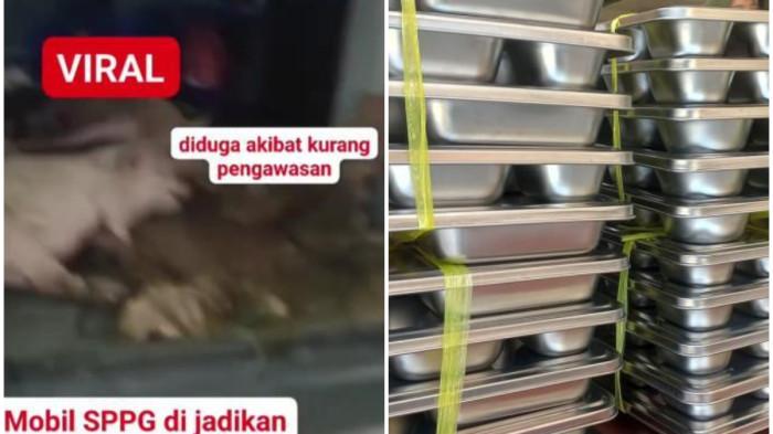 Viral Mobil Dapur MBG Angkut Babi, Kepala BGN Benarkan