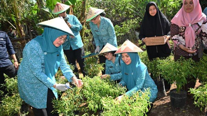 PKK Pusat Senang Sofha Marwah Sukses Pimpin PKK se-Sulsel Tanam Cabai
