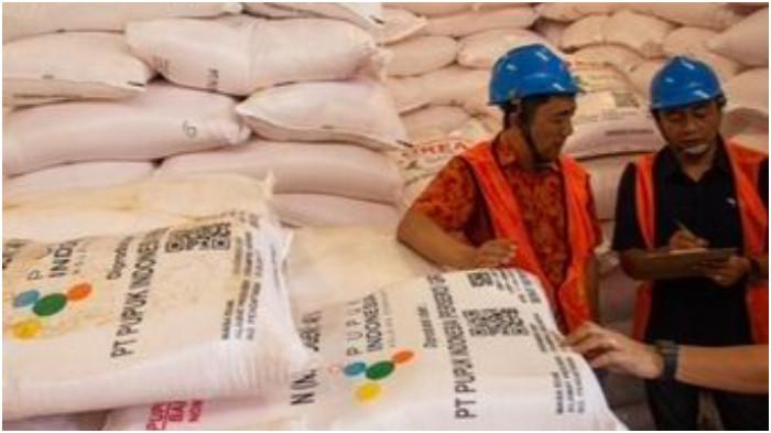 Wakil Ketua DPRD Sulsel: Harga Pupuk Turun 20 Persen, Petani Full Senyum