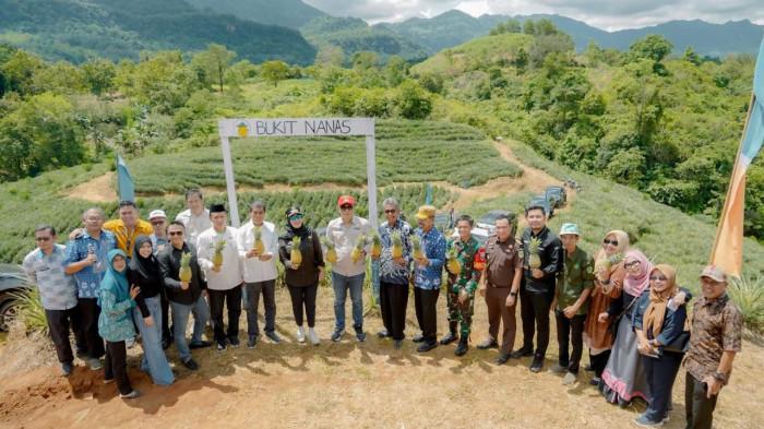 Desa Jangan-Jangan Kabupaten Barru Siap Ekspor Nanas ke Timur Tengah