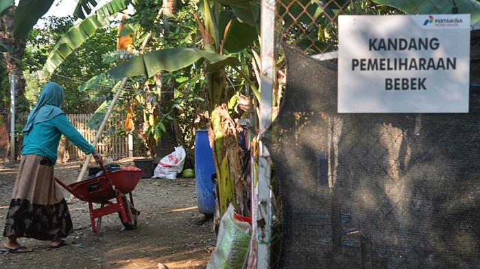 Pertamina dan Warga Ubah Limbah MBG Jadi Pakan Ternak Berkelanjutan - Pemilahan-Limbah-Jadi-Pakan.jpg
