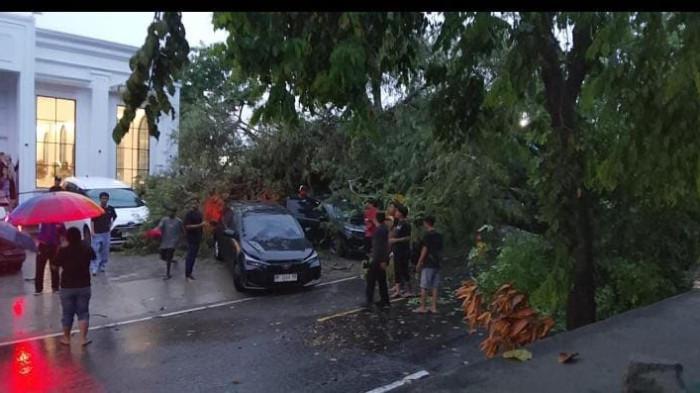Hujan Deras Guyur Wajo, Puluhan Kendaraan Tertimpa Pohon di Sengkang