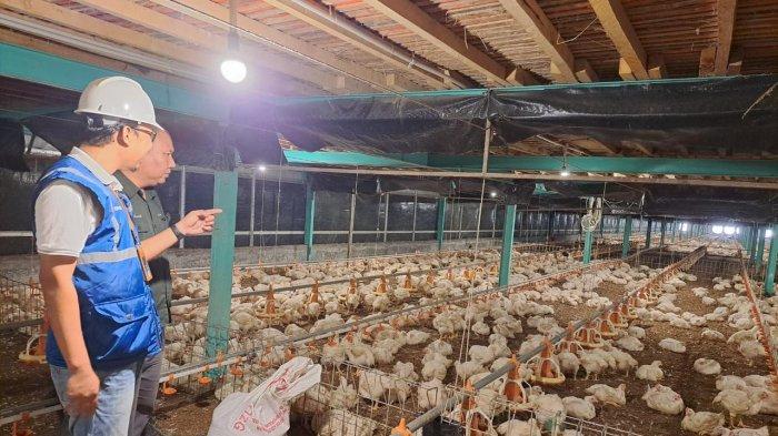 Pertanian Modern Berbasis Listrik Semakin Maju Berkat Program Electrifying Agriculture PLN - Program-Electrifying-Agriculture-1.jpg