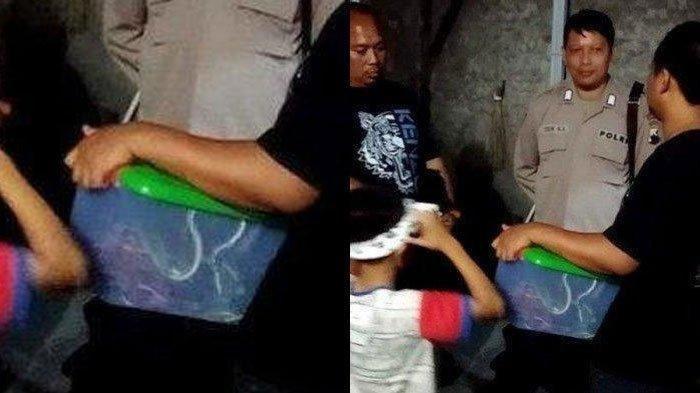 Kronologi Paket Berisi 12 Ular Dikirim ke Rumah Pak Dosen, Sempat Dititip di Pos Satpam