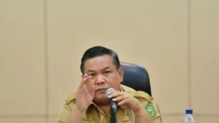 Wakil Gubernur Riau Sofyan Franyata Hariyanto Potensi Jadi Gubernur Riau Usai Abdul Wahid OTT KPK