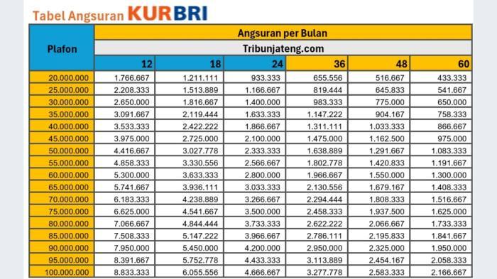 Tabel Angsuran KUR BRI 2025 Rp 20 Juta hingga Rp 100 Juta (Wilujeng Puspita Dewi)