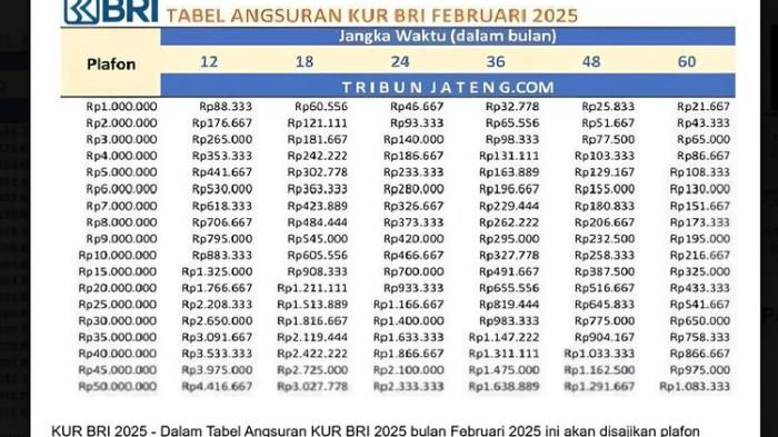 Daftar Angsuran KUR BRI Berlaku November 2025, Syarat Pinjam Puluhan dan Ratusan Juta Beda