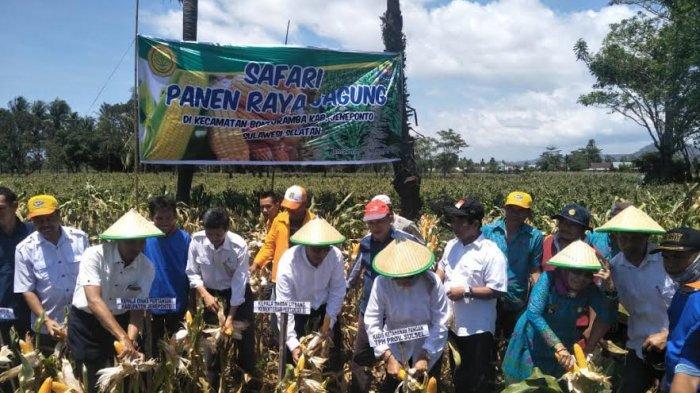 Andi Muh Sakir Apresiasi Produktivitas Petani Jagung Jeneponto