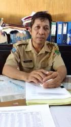 2015, Produksi Kakao Kering Luwu Utara Tembus 22 Ribu Ton