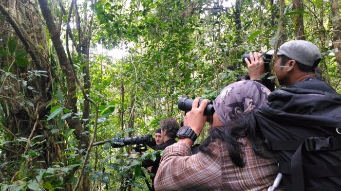 Di Hutan Desa Pattaneteang Bantaeng Ternyata Ada Hewan Endemik Ini - balang_20170508_191410.jpg