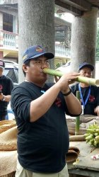 Yuk Coba Ballo' Toraya, Tuak Khas Toraja
