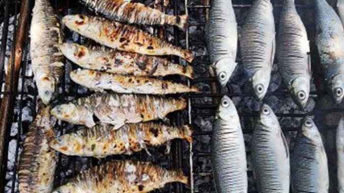 Ini Penyebab Daging Bandeng Pangkep Khas di Sulsel - bandeng-pangkep_20160207_225709.jpg