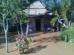 Petambak Ikan di Tamuku Luwu Utara Merugi, 700 Hektar Lahannya Terendam Banjir