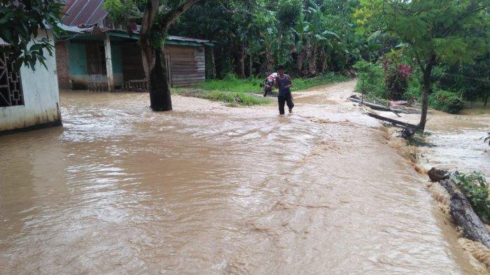 Kecamatan Pitumpanua Kembali Dilanda Banjir, Puluhan Rumah dan Area Persawahan Terdampak